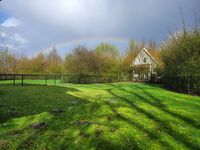 770 qm gro&szlig;er eingez&auml;unter Garten