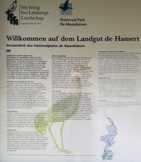 Maasduinen Landgoed de Hamert und de Wellse Heide